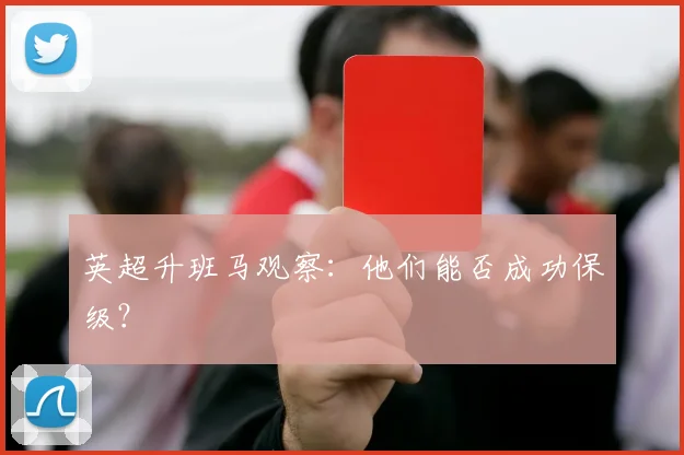 英超升班马观察：他们能否成功保级？
